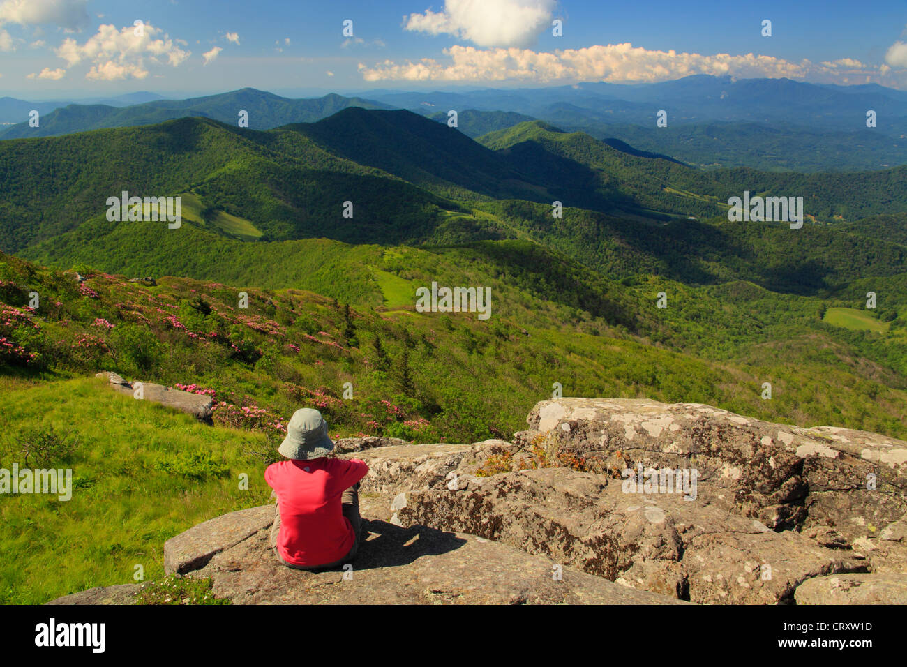 Vista dalla dorsale erbosa, Stefano montagna, Tennessee / North Carolina, STATI UNITI D'AMERICA Foto Stock