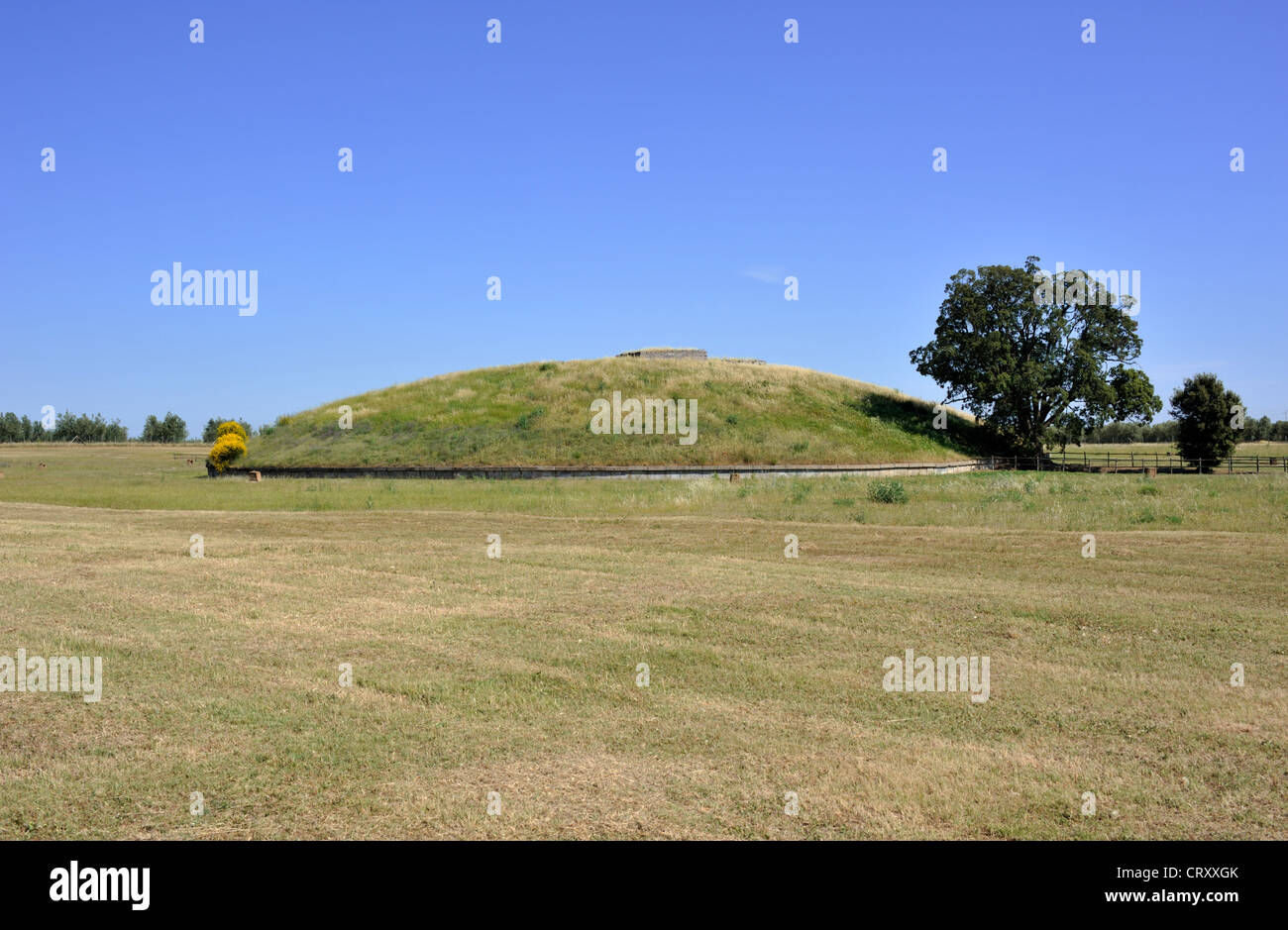 Italia, Lazio, Vulci, parco archeologico, tumulo etrusco chiamato Tumulo della Cuccumella Foto Stock