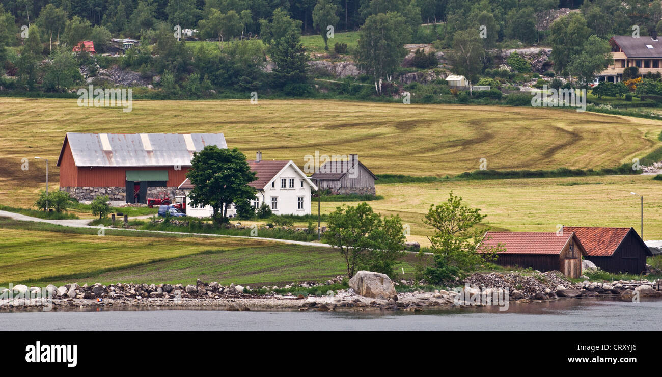 Piccola fattoria norvegese accanto all'Hardangerfjord. Foto Stock