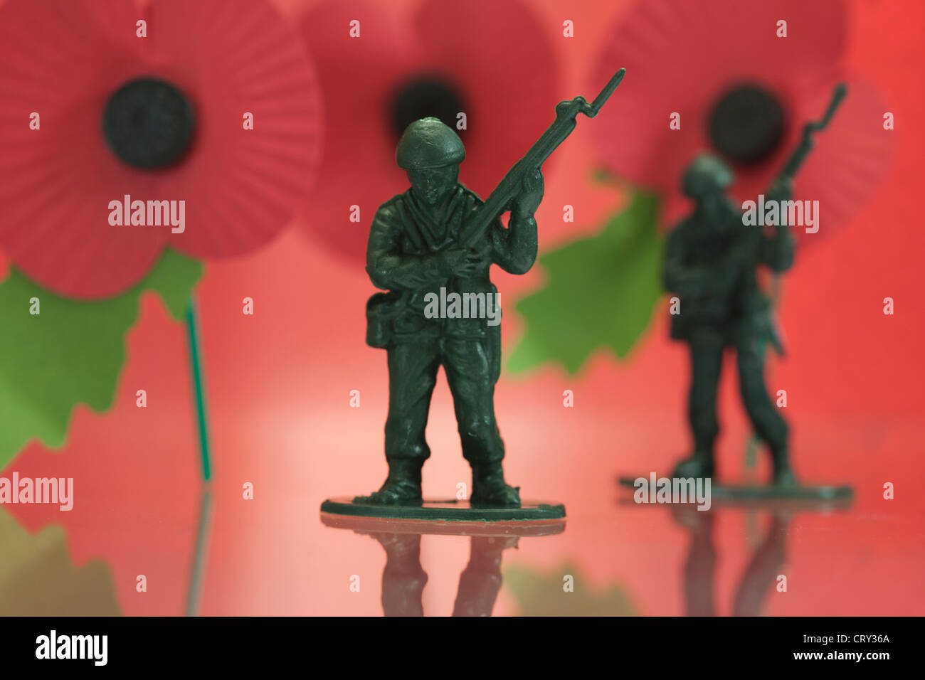 Veteran's Memorial Poppies in plastica con soldatini Foto Stock