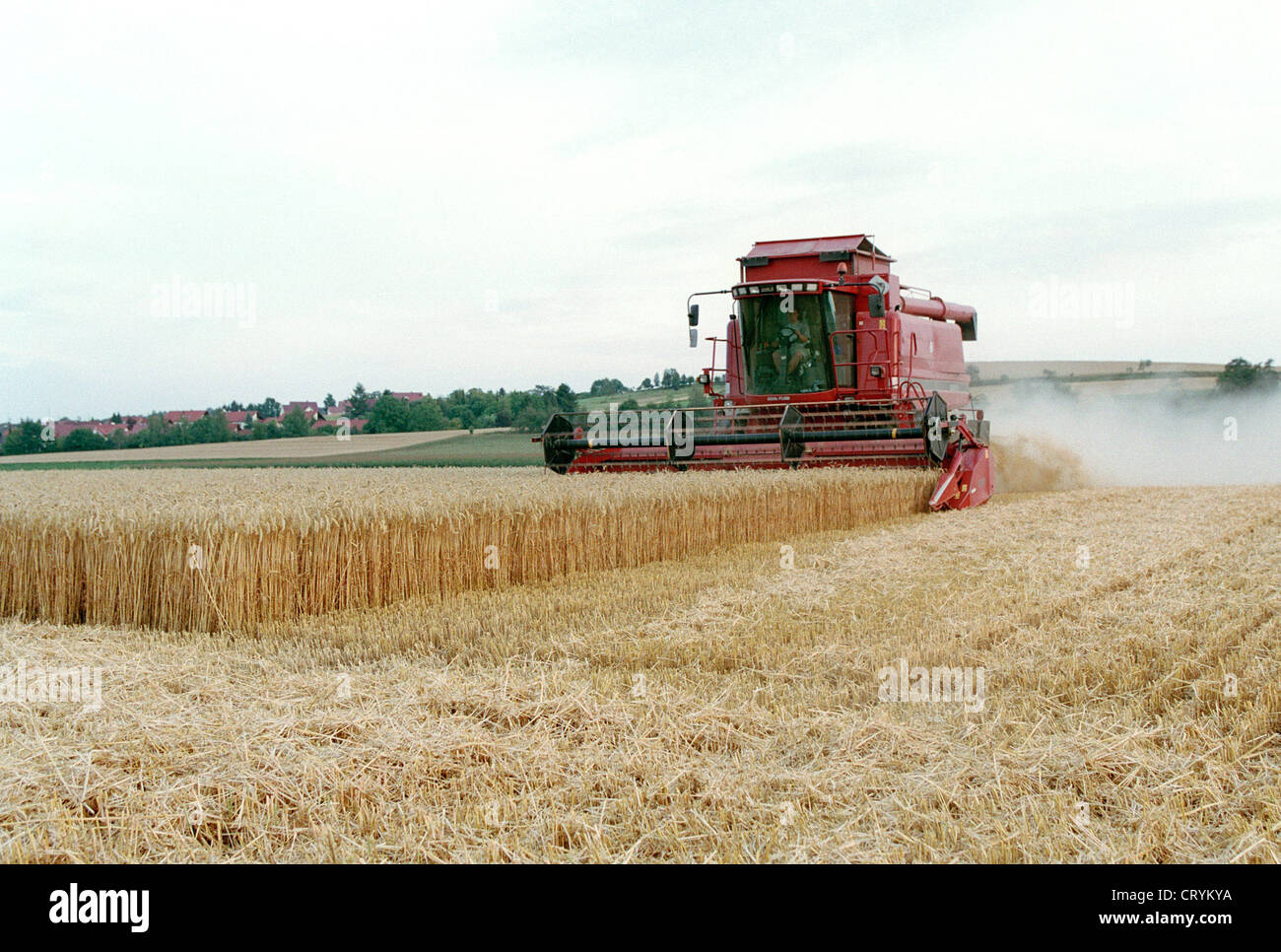 Il raccolto di un campo di mais con una mietitrebbia Foto Stock