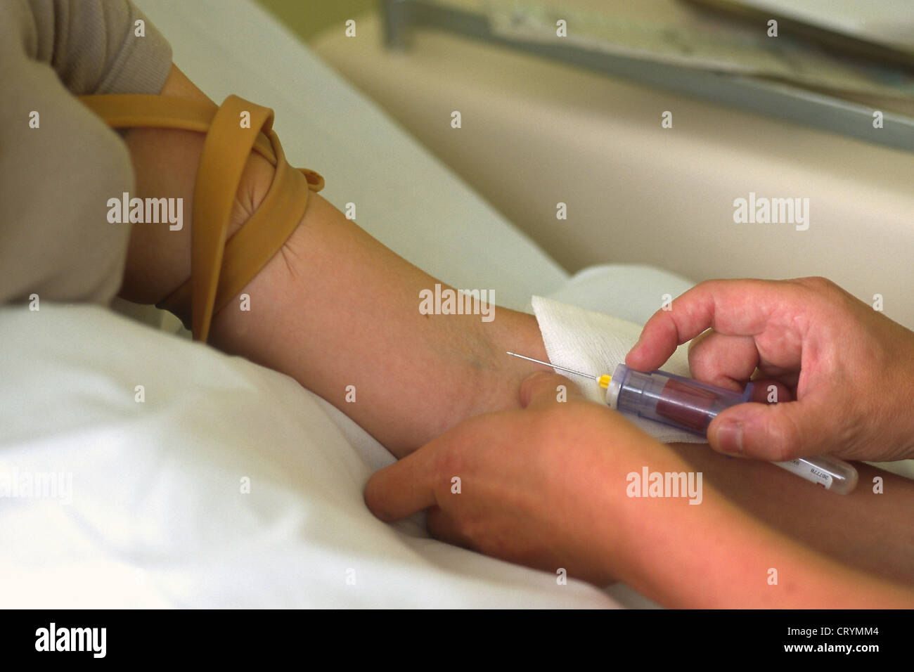 CAMPIONE DI SANGUE Foto Stock