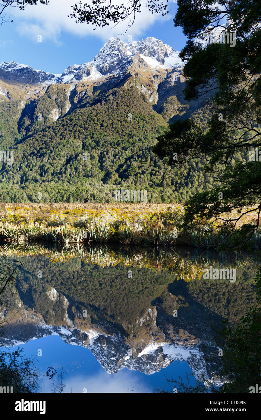 Specchio tarn, Hollyford Valley, Fiordland, Nuova Zelanda Foto Stock