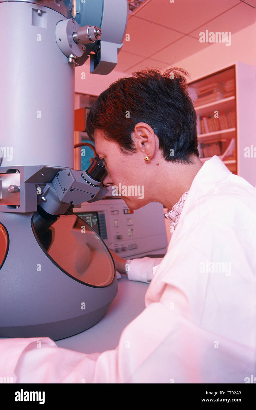 Microscopio elettronico a trasmissione Foto Stock Microscopio elettronico a trasmissione Foto Stock
