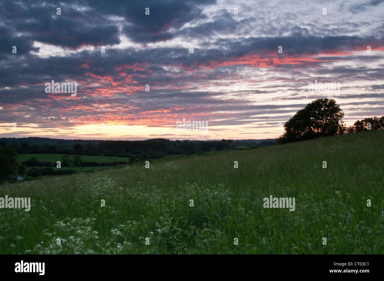 Tramonto sulla Brampton valley, visto dalle pendici di un prato pascolo vicino Brixworth, Northamptonshire, Inghilterra Foto Stock