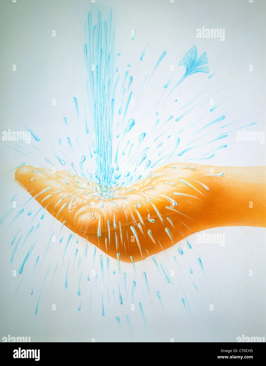 Acqua, disegno Foto Stock