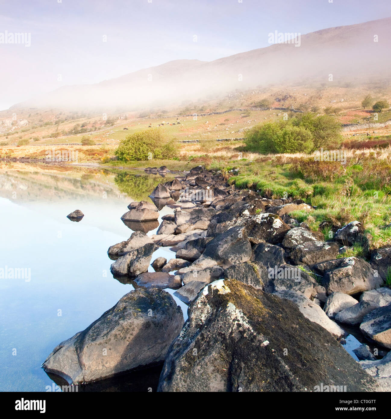 Spiaggia rocciosa linea Mymbyr Llyn Capel Curig, Parco Nazionale di Snowdonia Gwynedd North Wales UK, tarda primavera. Foto Stock