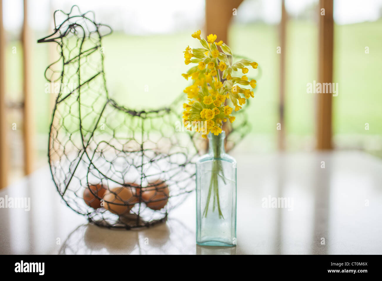 Uova di gallina di filo di ornamento e vaso di wild Cowslips, Primula veris, in primavera in Cotswolds, Oxfordshire, Regno Unito Foto Stock