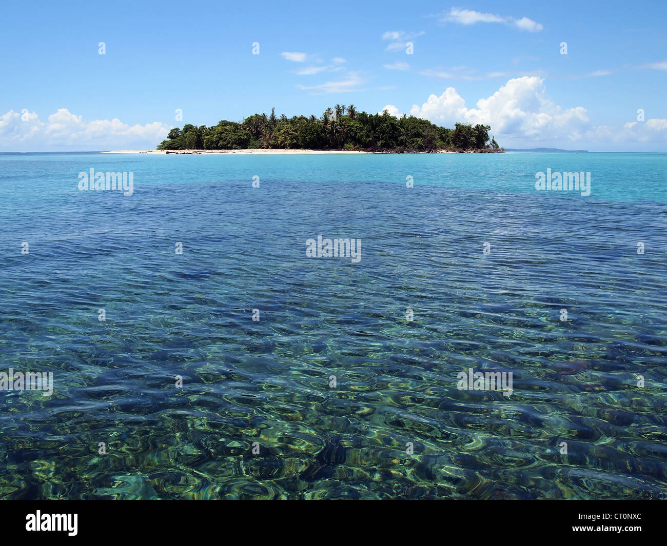 Isola incontaminata con spiaggia di sabbia bianca nel mar dei Caraibi Foto Stock