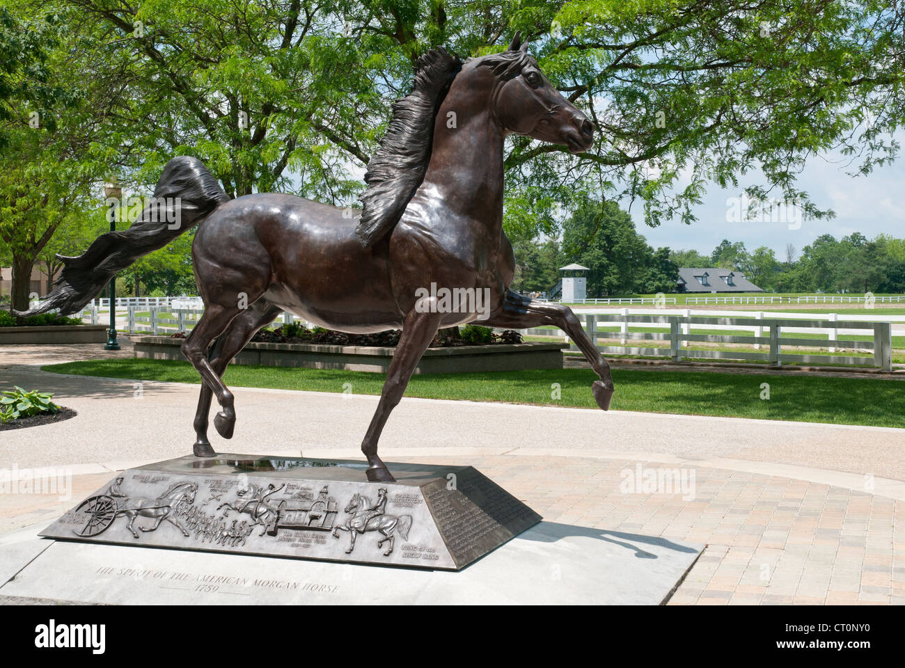 Il Kentucky, Lexington, Kentucky Horse Park, la Nazionale Centro Ippico, Morgan cavallo scultura in bronzo. Foto Stock