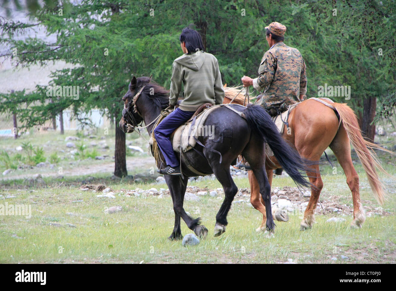 Altai cavalieri, Siberia, Russia Foto Stock