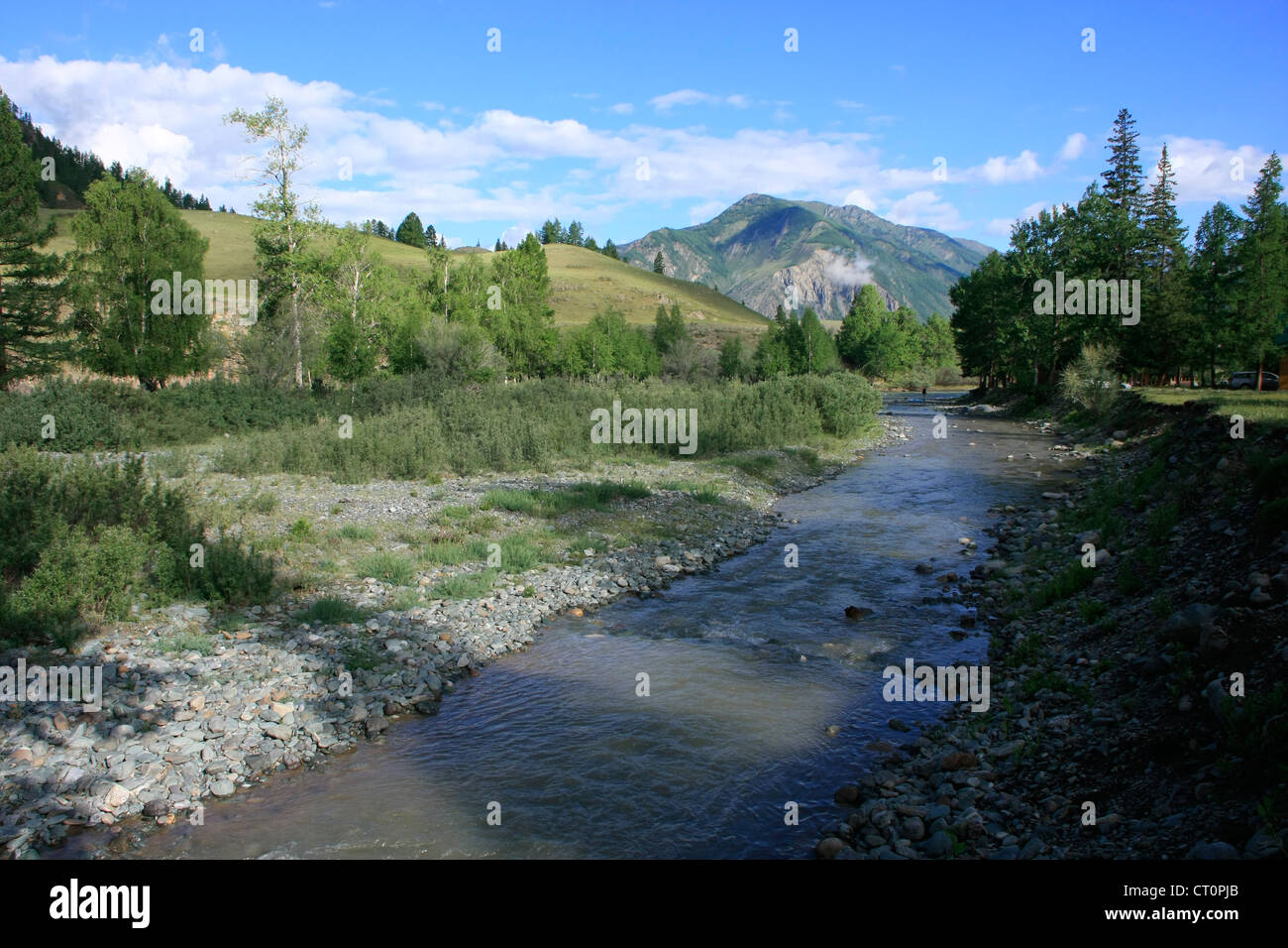 Natura incontaminata scena lungo il fiume Chuya, Altai, Siberia, Rissia Foto Stock