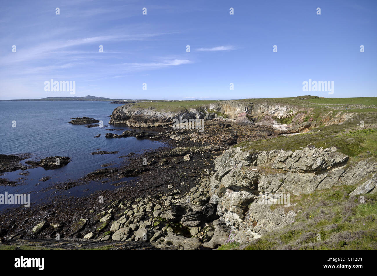 Testa Rhoscolyn Isola Santa su Anglesey Foto Stock