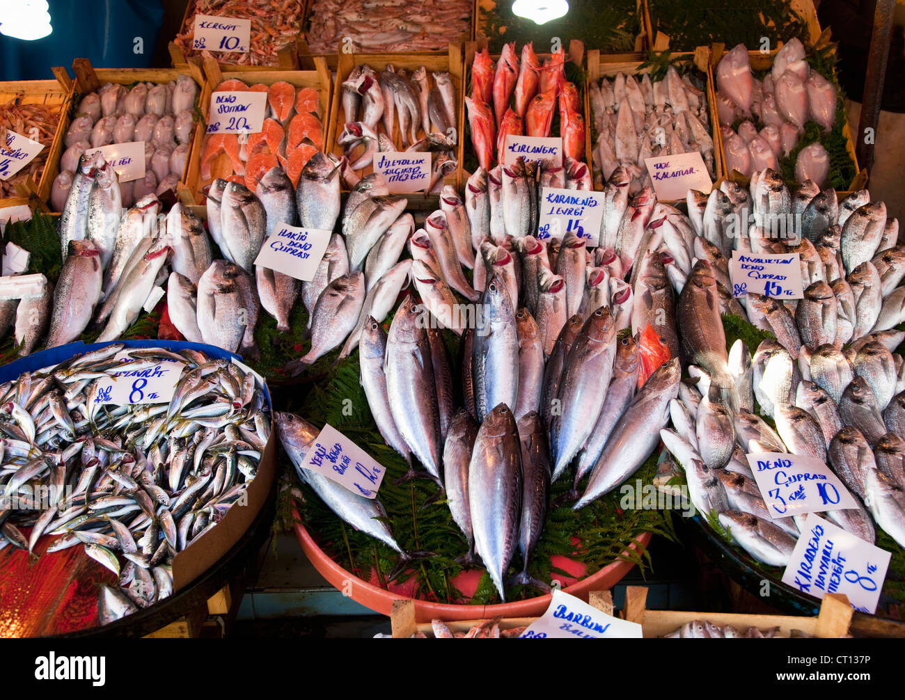 Pesce fresco in vendita Foto Stock