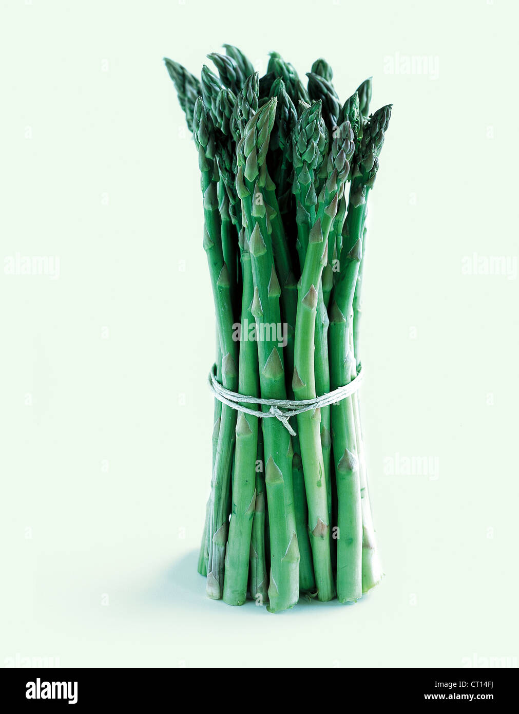 Chiusura del mazzetto di asparagi Foto Stock