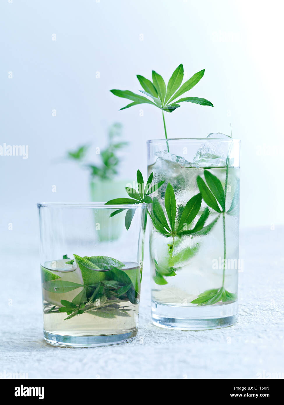 Erbe in bicchieri di acqua Foto Stock