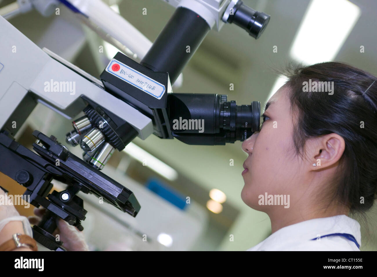 Un tecnico di laboratorio studi diapositive di campioni di sangue Foto Stock