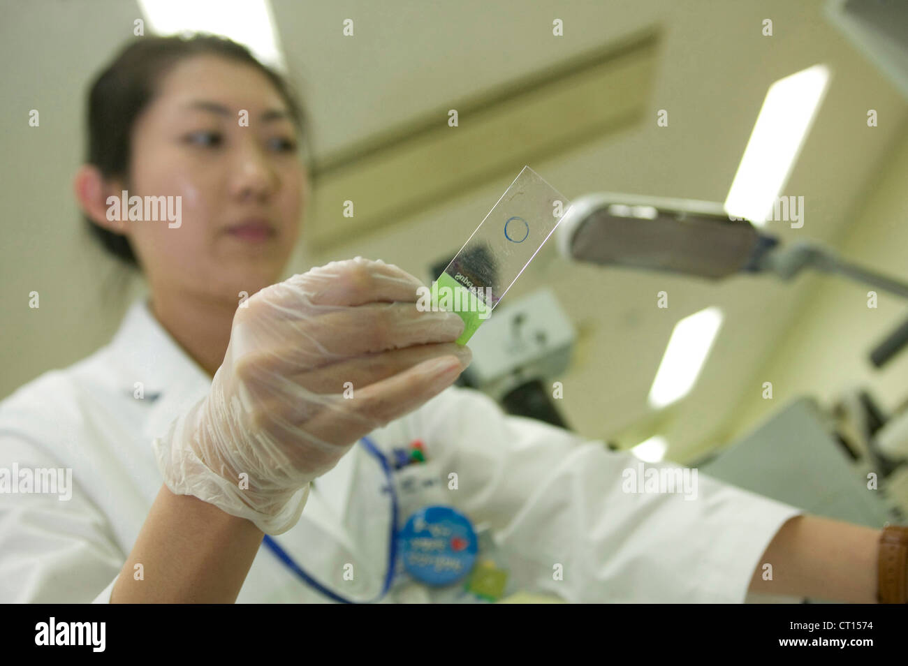 Un tecnico di laboratorio lavora con i campioni di sangue di una diapositiva Foto Stock