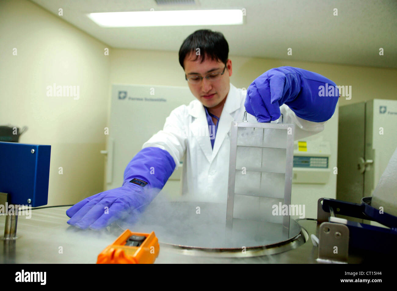 Studente di medicina sul lavoro di ricerca e sviluppo a Samsung Medical Center Foto Stock