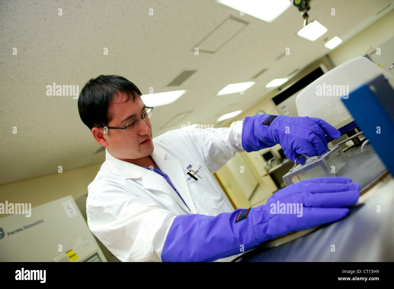 Studente di medicina sul lavoro di ricerca e sviluppo a Samsung Medical Center Foto Stock