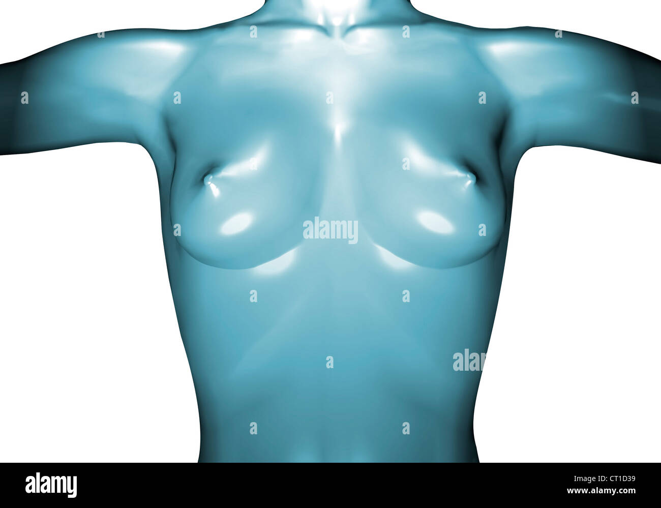 Nudo femminile torso in gomma su sfondi bianchi Foto Stock
