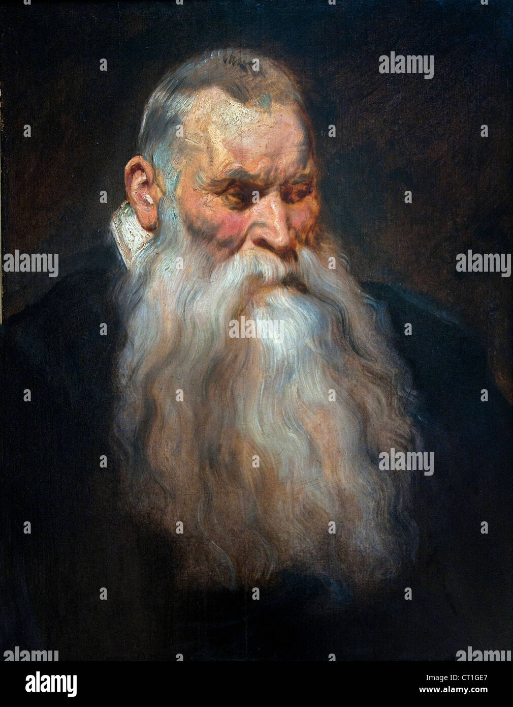Studio testa di un uomo vecchio con la barba bianca 1617 Anthony van Dyck Belgio belga Foto Stock