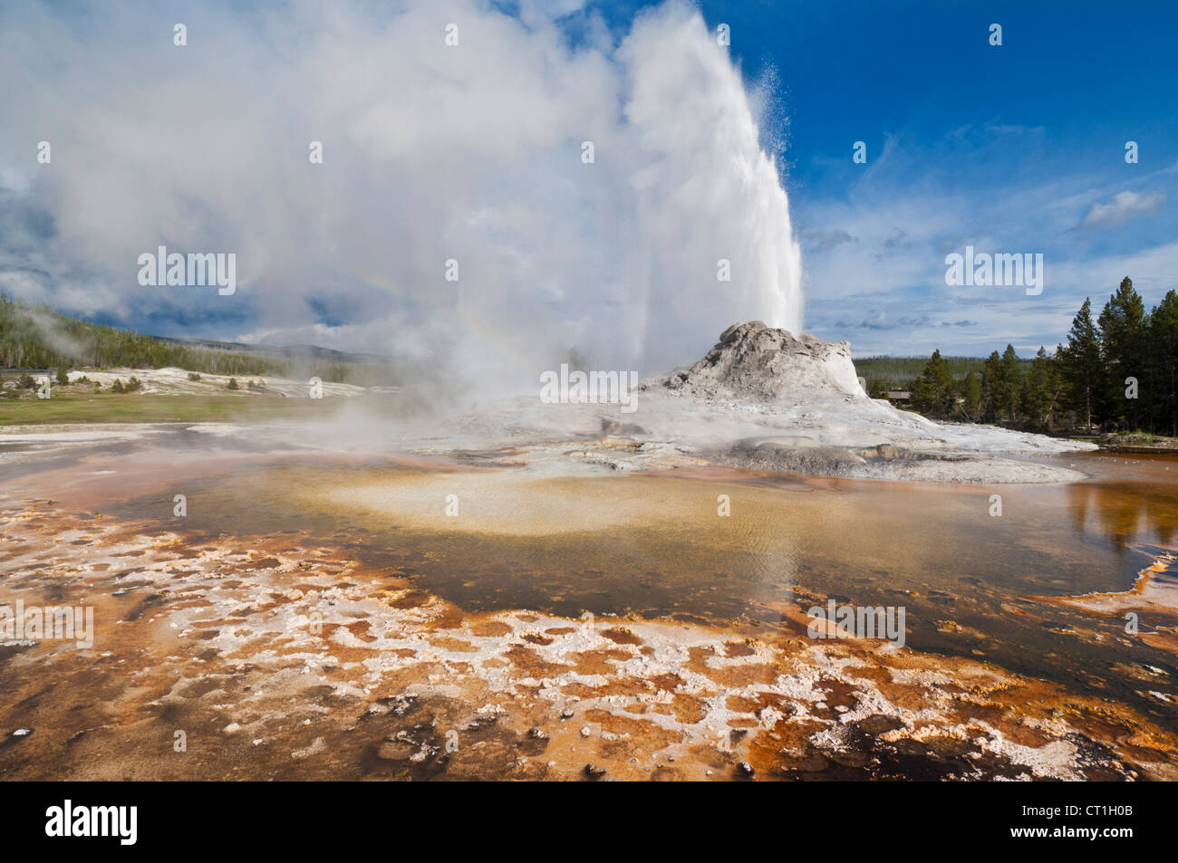 Castello geyser erupting Geyser Basin Yellowstone National Park Wyoming USA Stati Uniti d'America Foto Stock