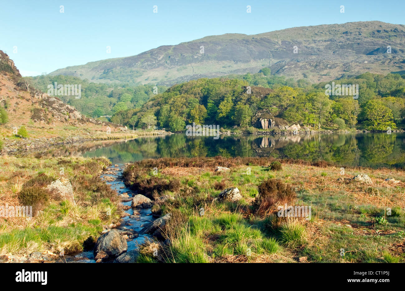 Flusso della foresta del lago e montagne a Llyn Dinas Nantgwynant Valley, il Parco Nazionale di Snowdonia Gwynedd North Wales UK, tarda primavera. Foto Stock