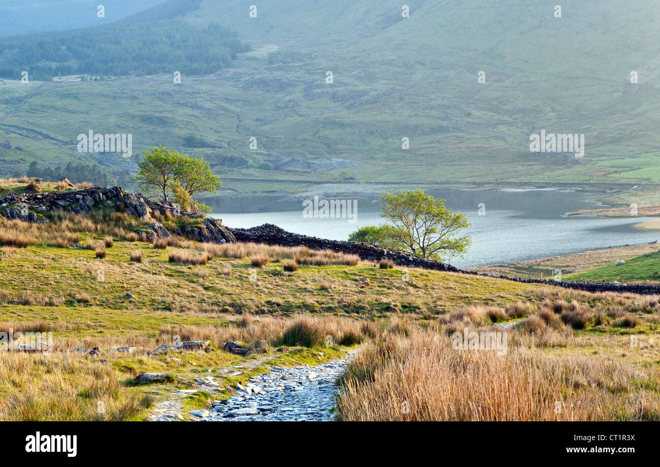 Percorso Rhyd-Ddu Snowdon, Parco Nazionale di Snowdonia Gwynedd North Wales UK, vista lago Llyn-y-Gader Foto Stock