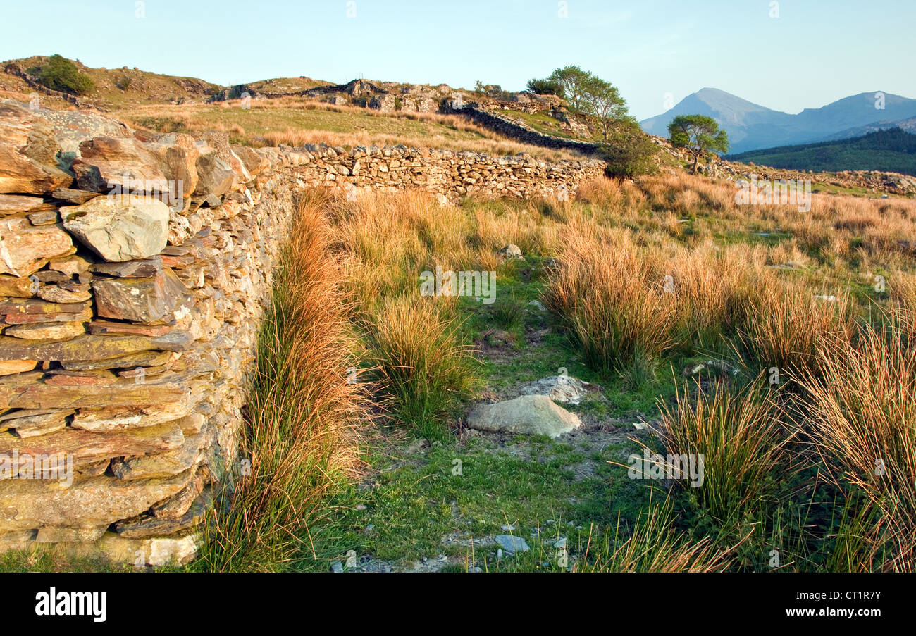 Asciugare la parete in pietra Rhyd-Ddu percorso Snowdon Snowdonia National Park Gwynedd North Wales UK, tarda primavera. Foto Stock