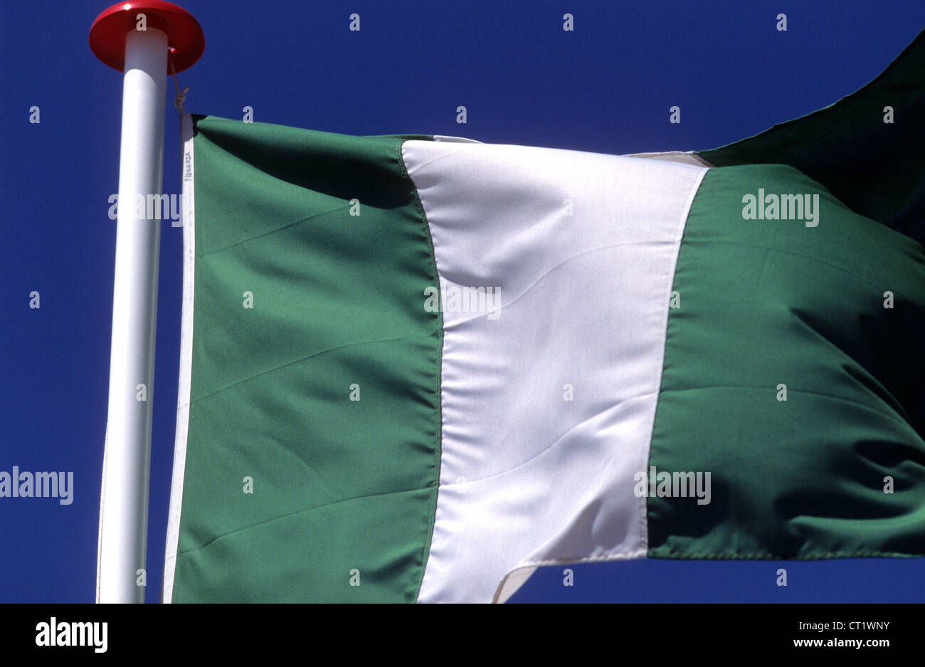 La bandiera nazionale della Nigeria. Foto Stock