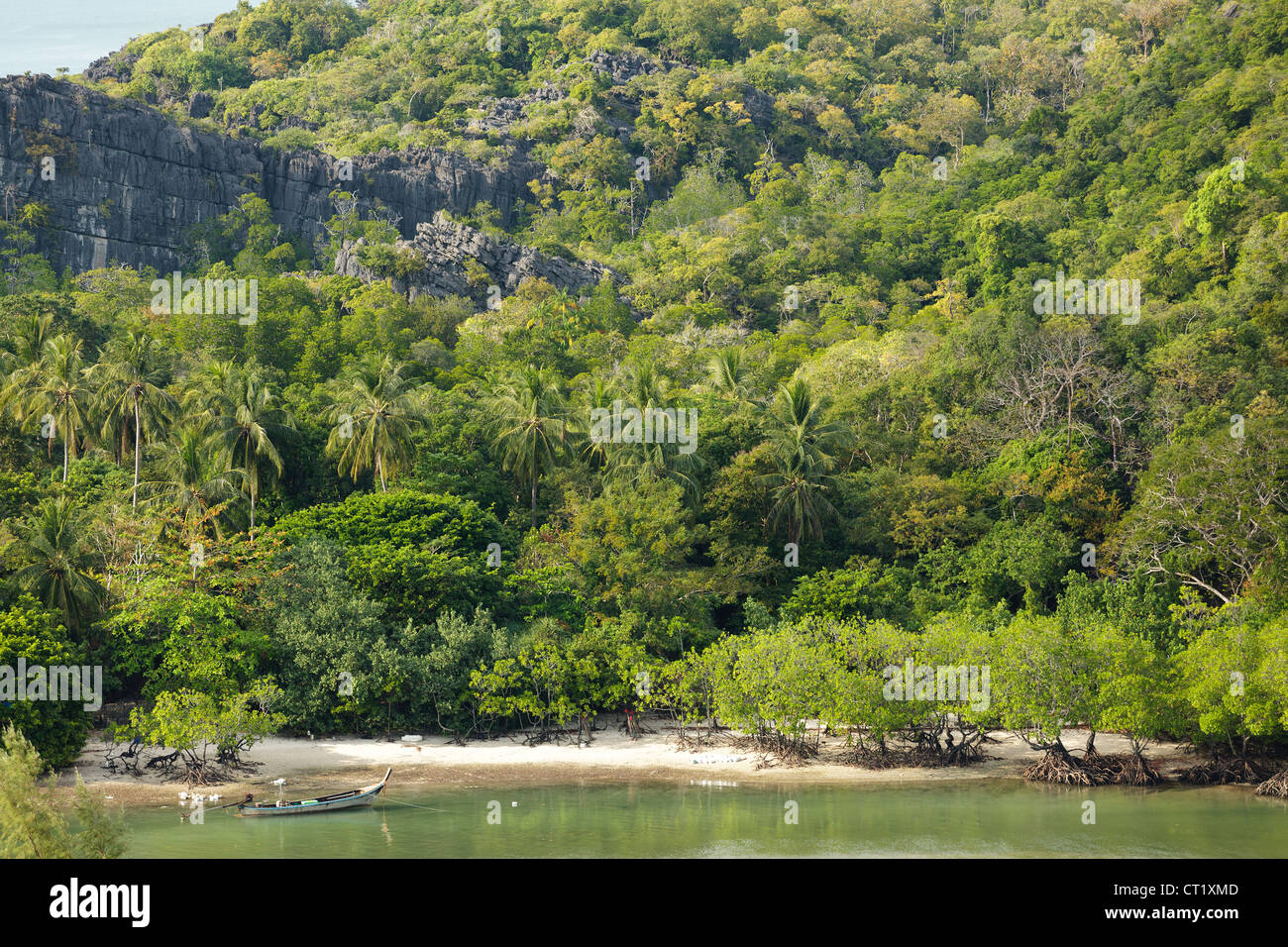 Paesaggio tropicale in Ko Tarutao island, Thailandia Foto Stock