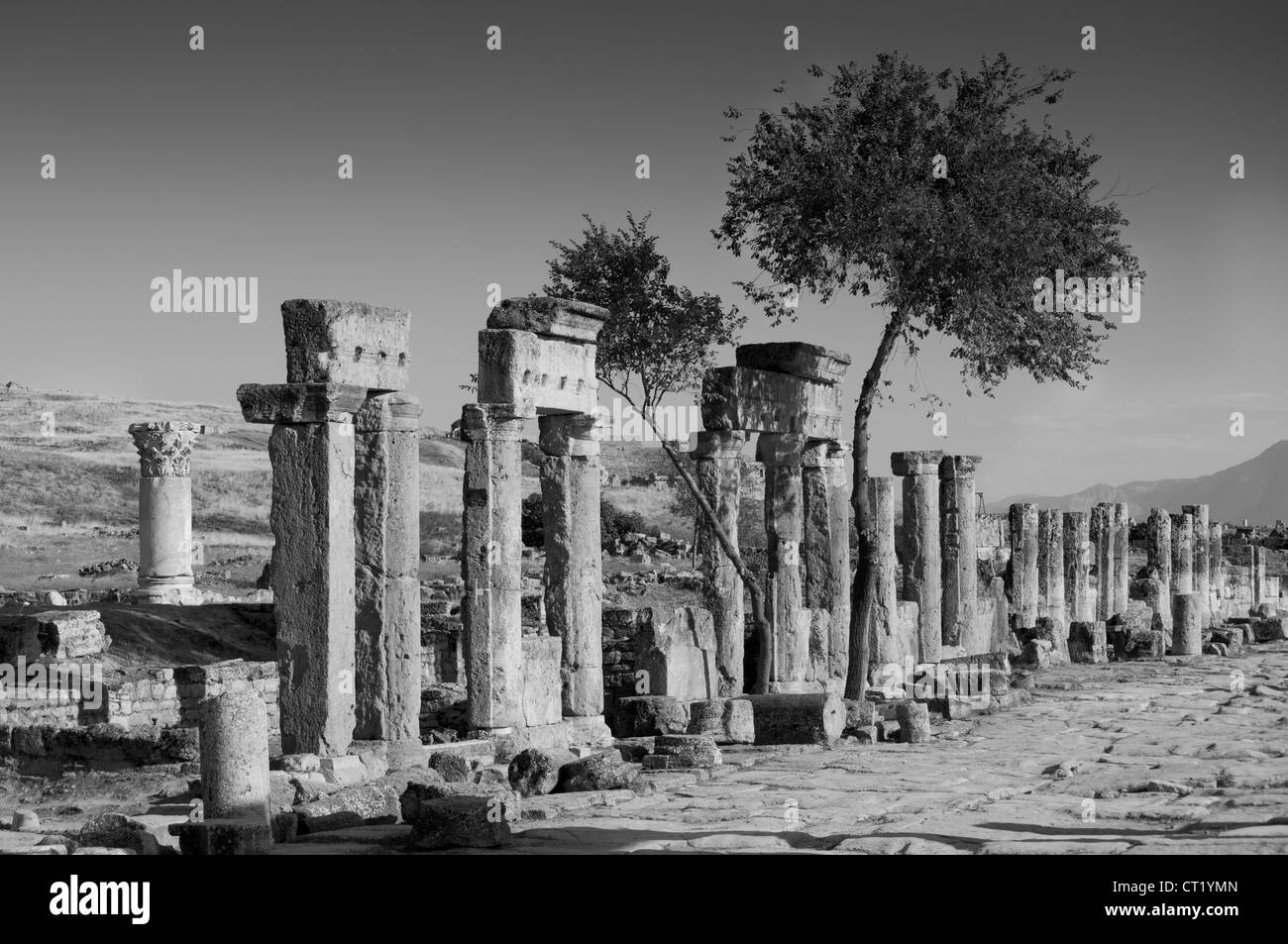 Vista della strada principale del greco antico sito di Hierapolis in Turchia occidentale vicino a Pammukale Foto Stock