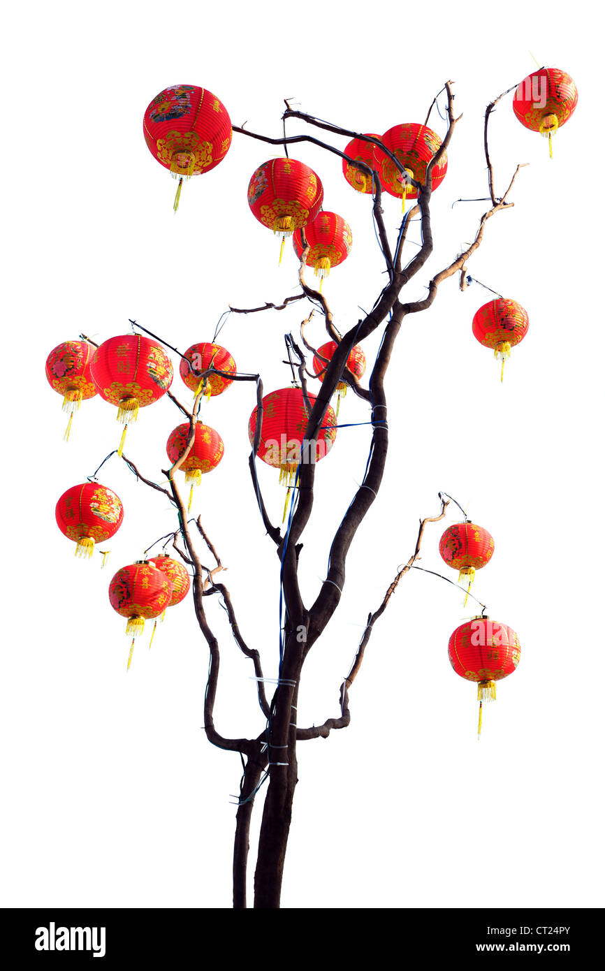 Lanterna cinese albero isolato su sfondo bianco Foto Stock