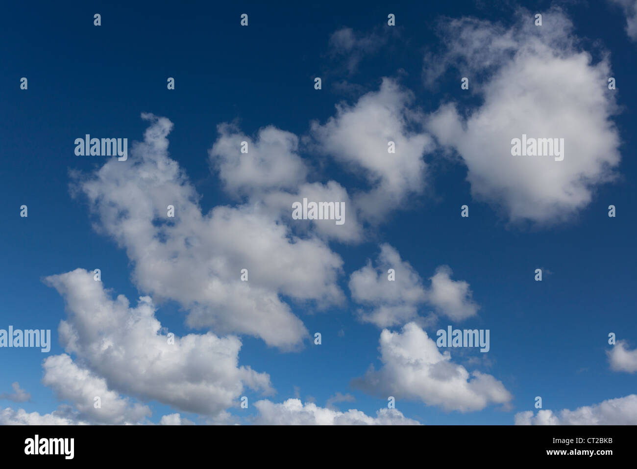 Un cielo blu con nuvole cumulus. Foto Stock