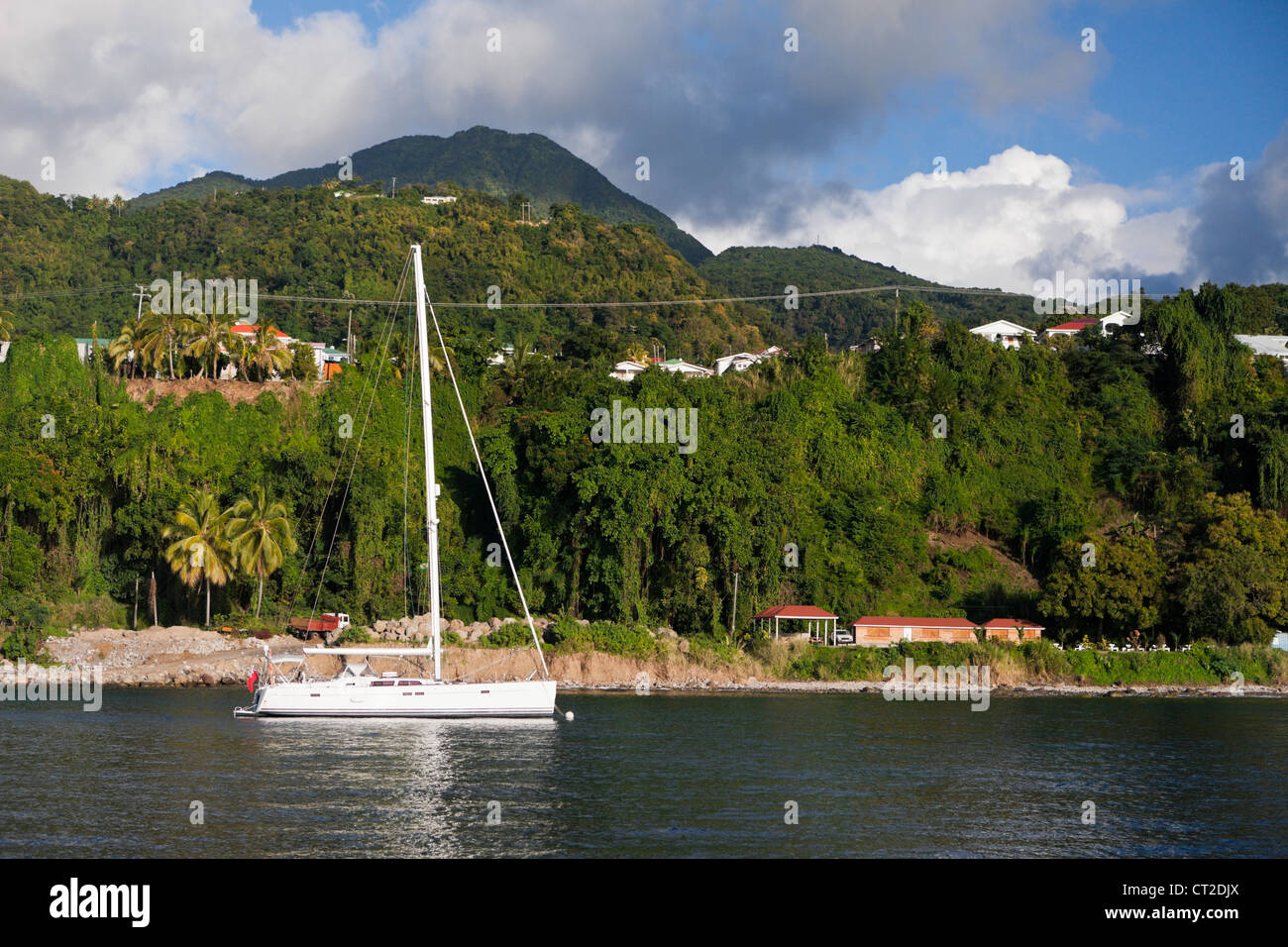 Costa vicino a Roseau, Mar dei Caraibi, Dominica Foto Stock