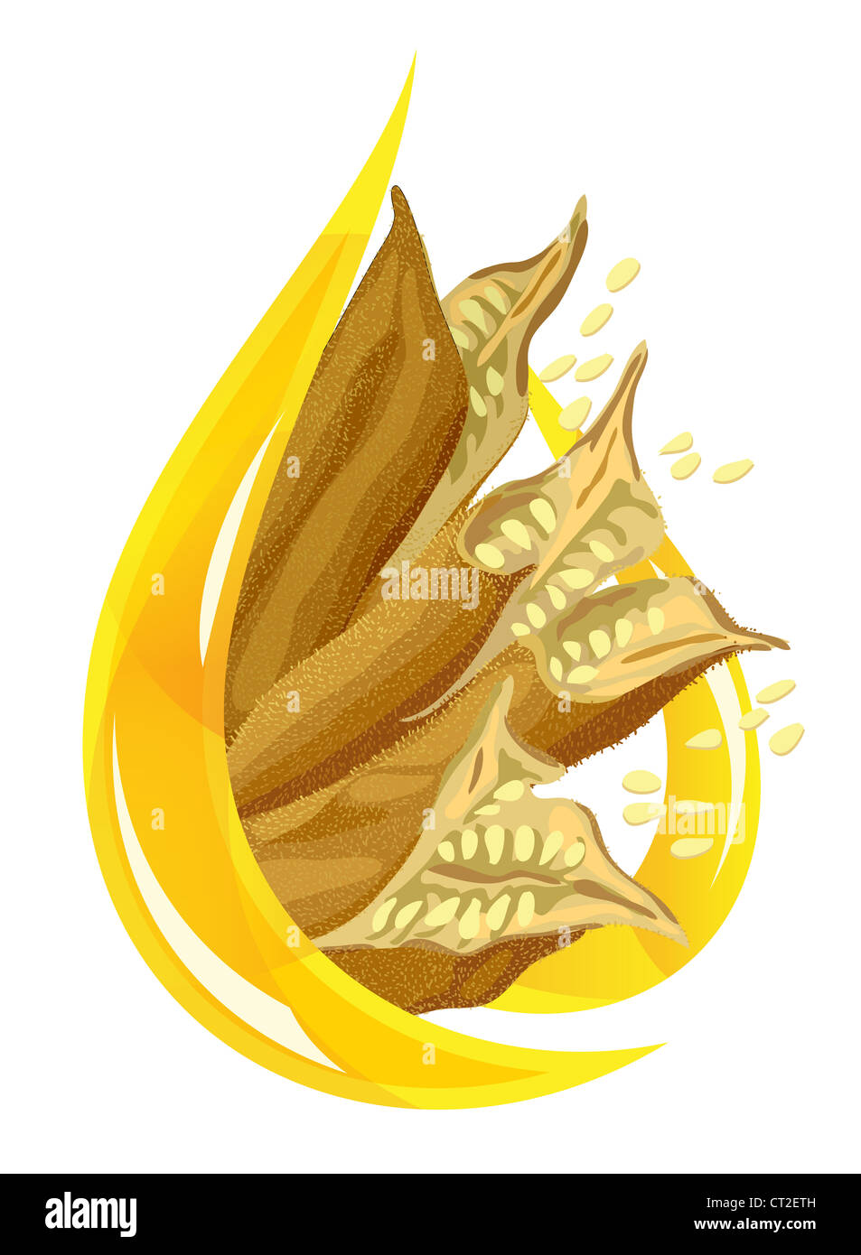 Olio di sesamo. Caduta di stilizzato. Vector illystration. Foto Stock