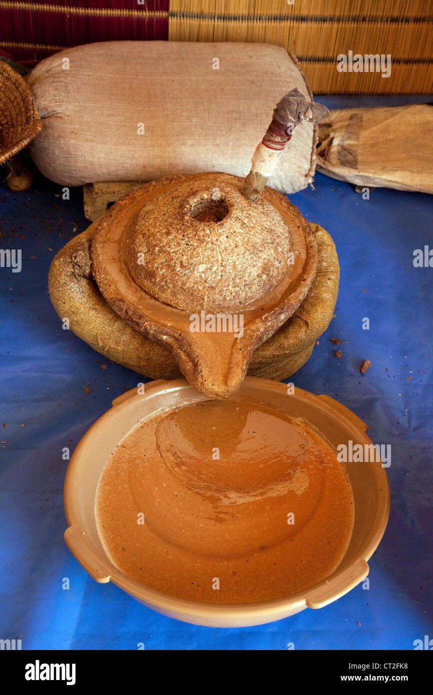 Olio di Argan prodotta da argan gherigli, l'olio di Argan womens cooperativa, Essaouira, Marocco Foto Stock
