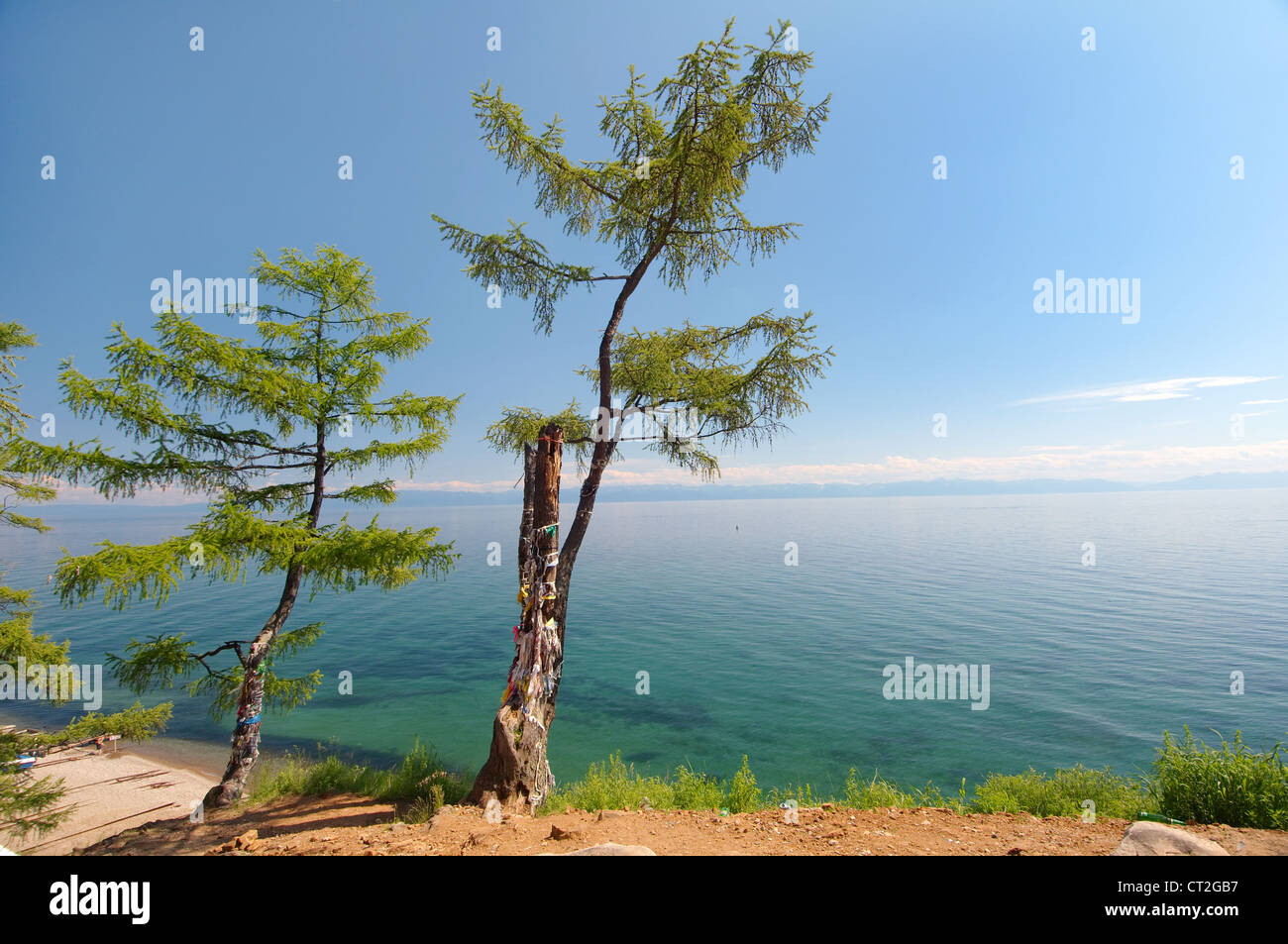 Albero dei Desideri, liquidazione Listvyanka, il lago Baikal, Regione di Irkutsk, Siberia, Federazione russa Foto Stock