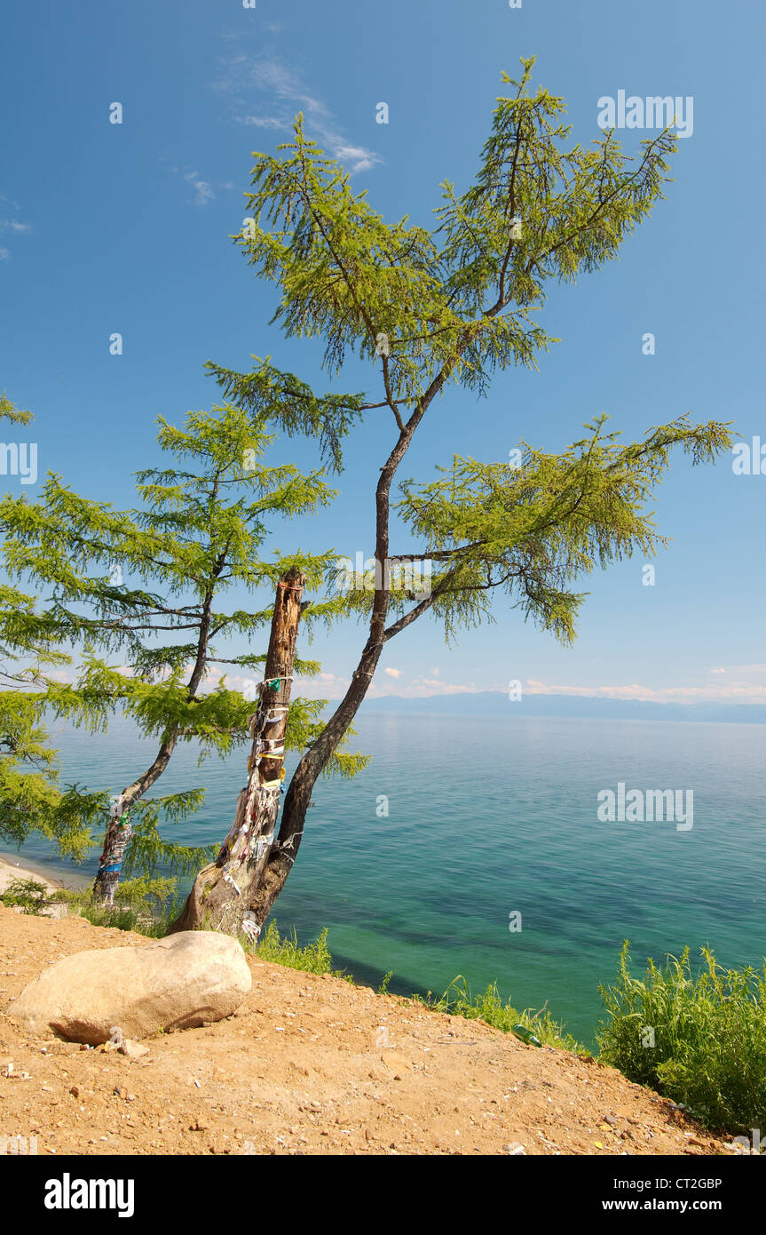 Albero dei Desideri, liquidazione Listvyanka, il lago Baikal, Regione di Irkutsk, Siberia, Federazione russa Foto Stock