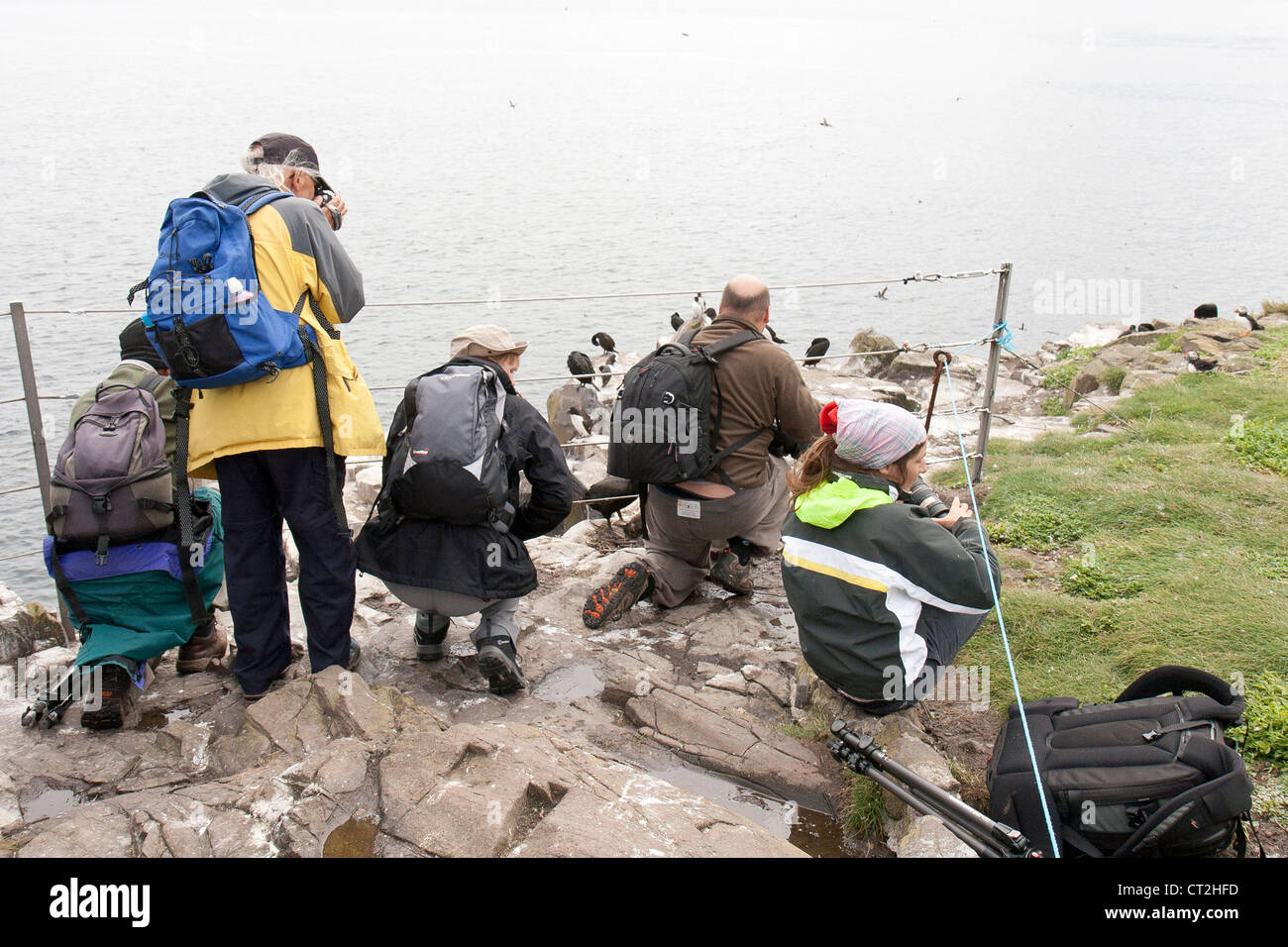 Gli amanti del birdwatching fotografare gli uccelli in un viaggio a farne interna Foto Stock