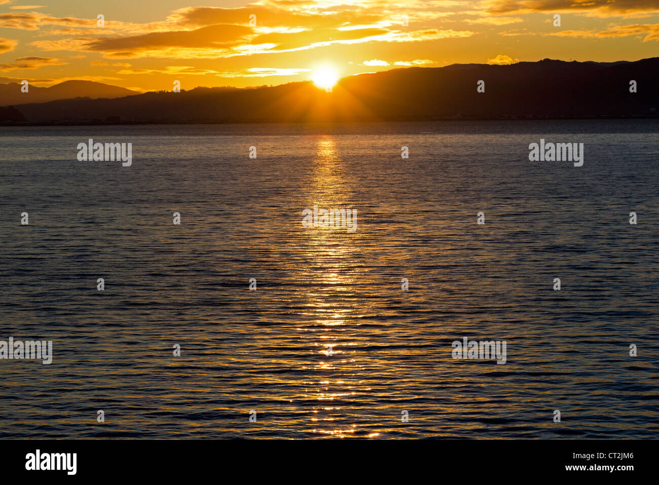 Sunrise nel porto di Wellington 3, Nuova Zelanda Foto Stock