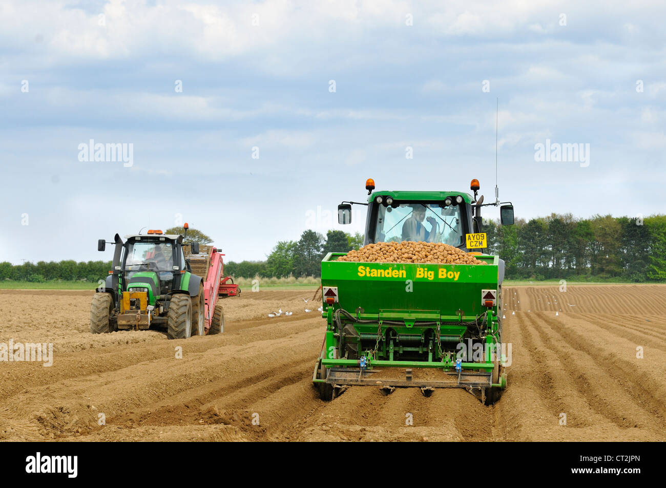 Regno Unito, allevamento commerciale di coltivazione di patate, trattore con piantatrice di patate, trattore con pietra macchina di prelievo sulla sinistra, Norfolk, Regno Unito, maggio Foto Stock