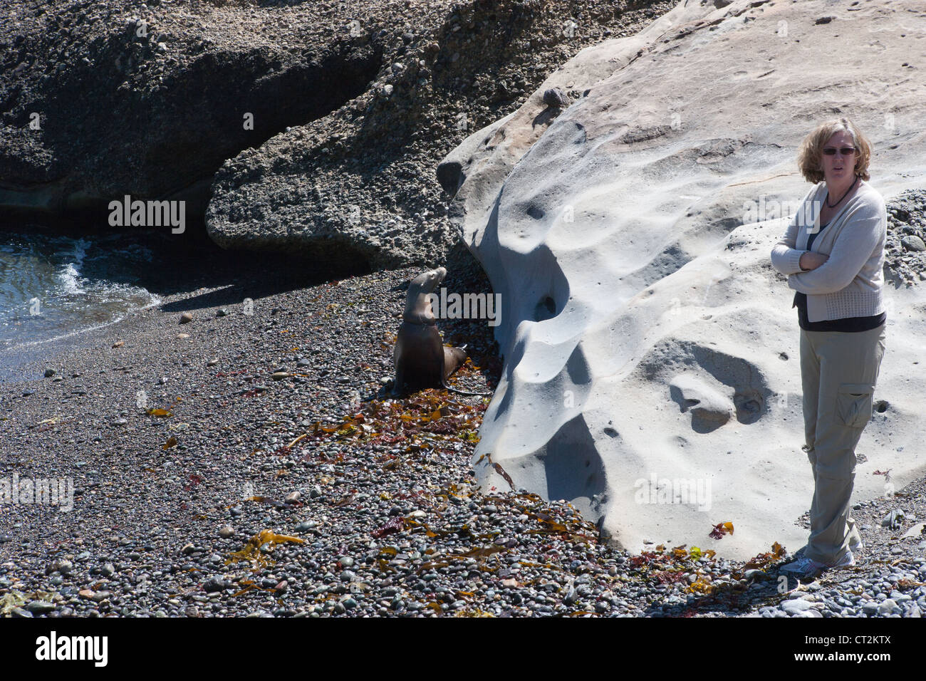 La donna in questione per la guarnizione aggrovigliato nella stringa di plastica attende di aiutare. Foto Stock