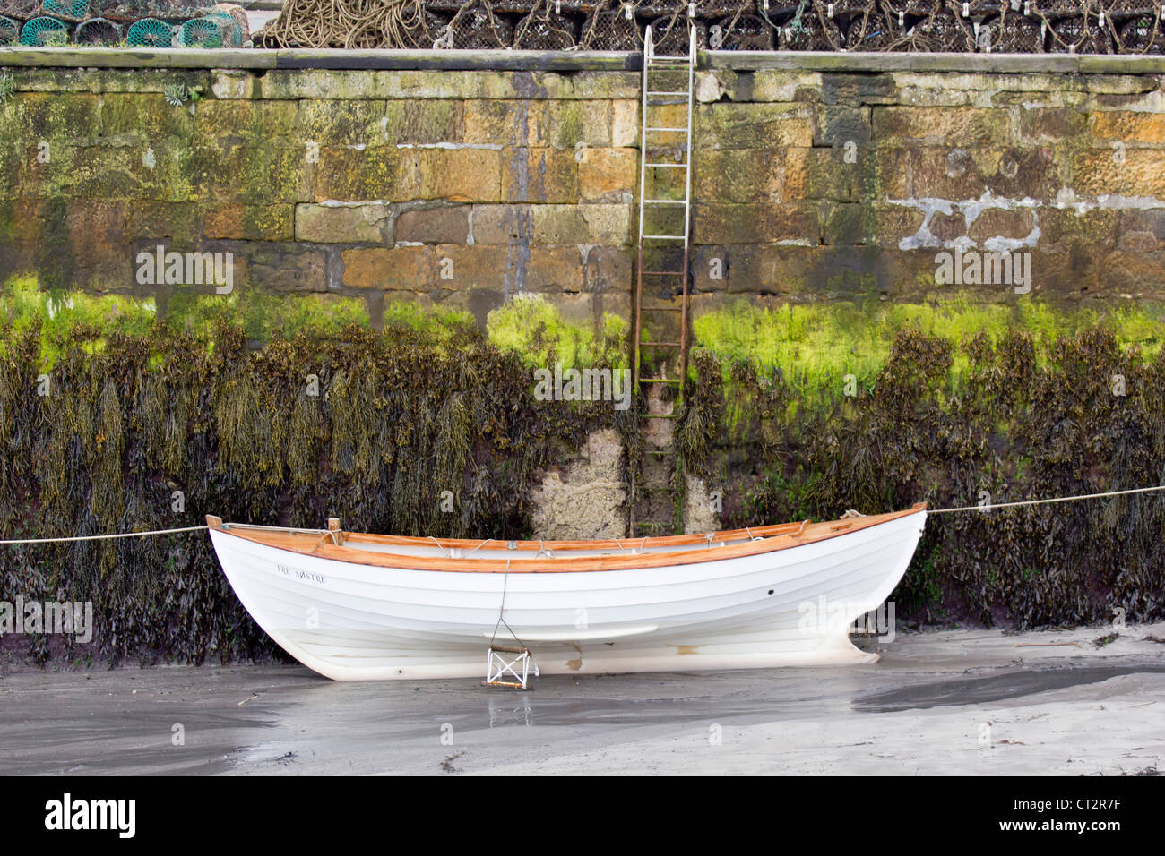 Seahouses Harbour con un bianco barca a remi a bassa marea Foto Stock