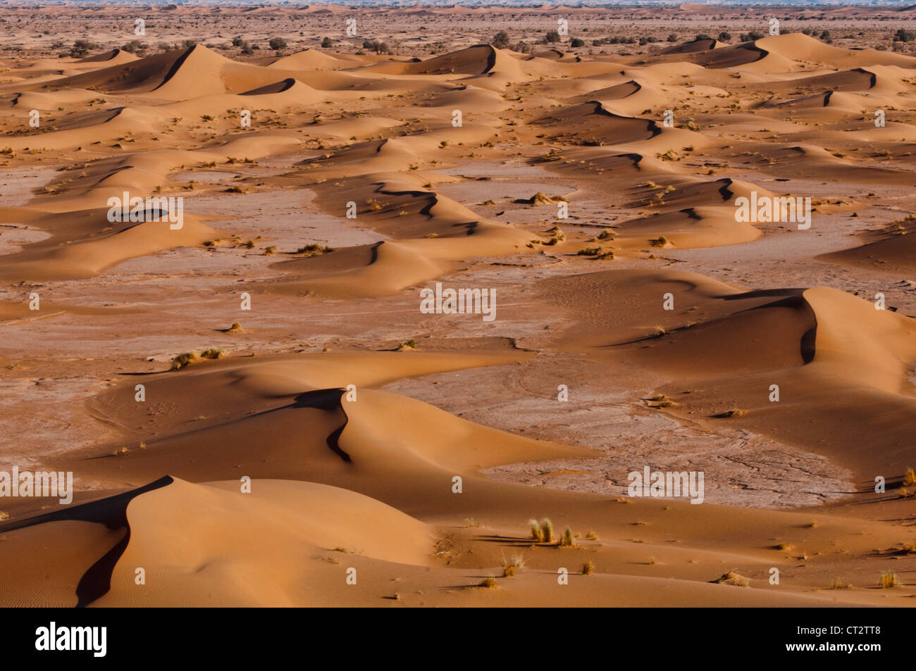 Le dune di sabbia del deserto del Sahara presso Erg Chigaga, Marocco Foto Stock