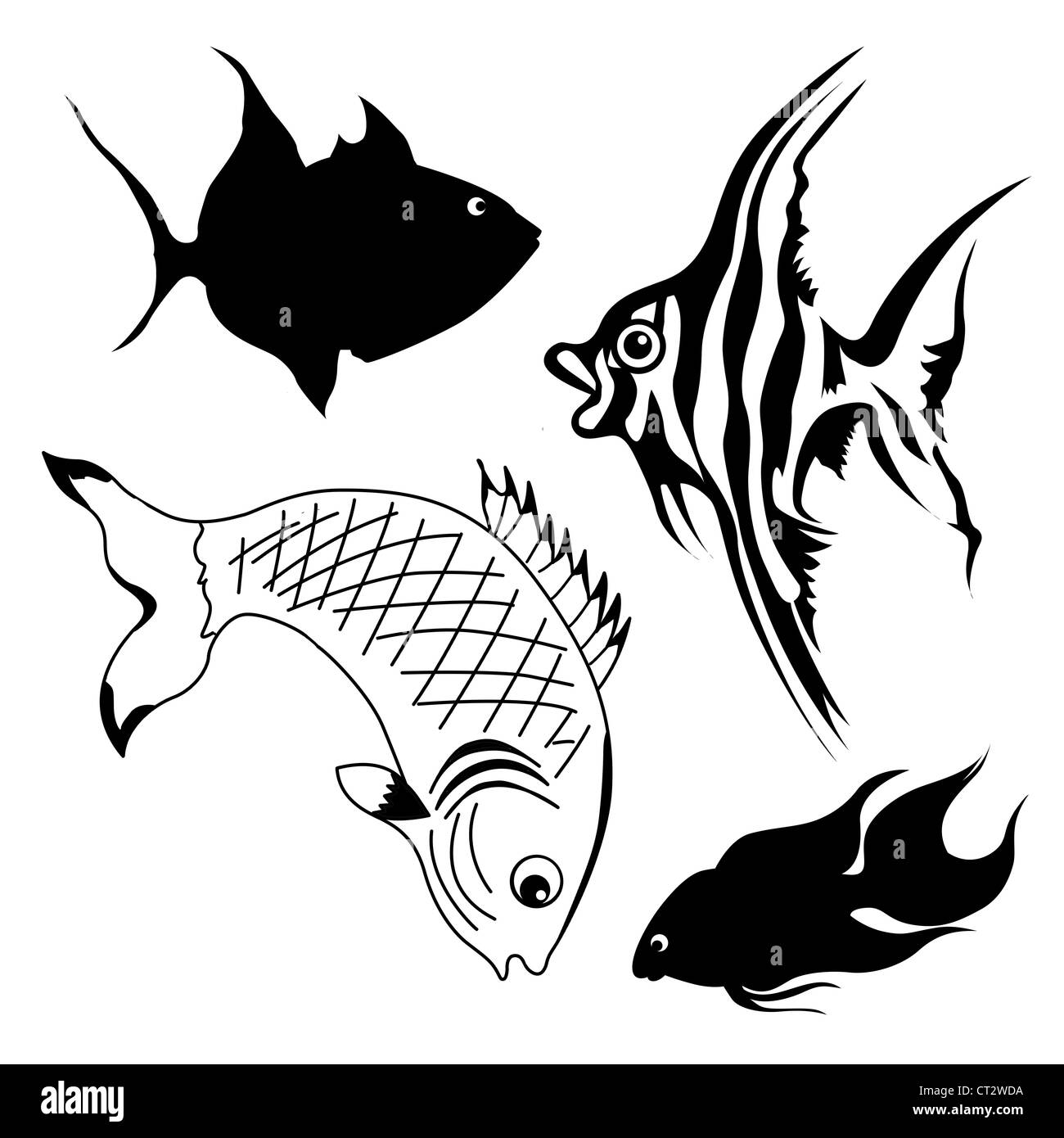 Set di pesce su sfondo bianco Foto Stock