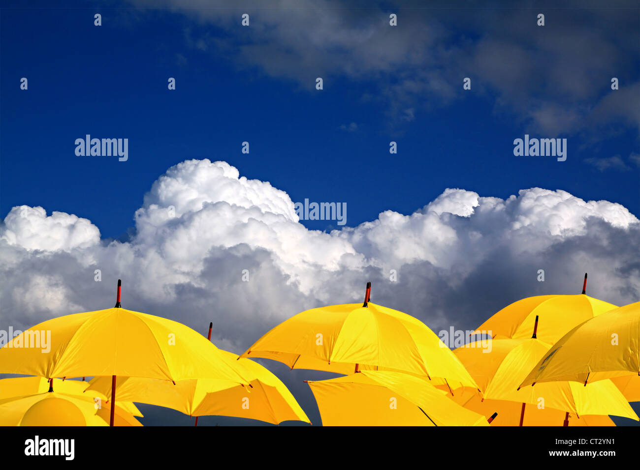 Gli ombrelli di colore giallo su sfondo nuvoloso Foto Stock