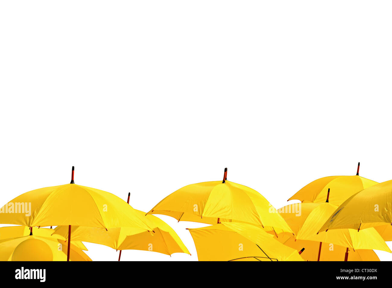 Gli ombrelli di colore giallo su sfondo bianco Foto Stock
