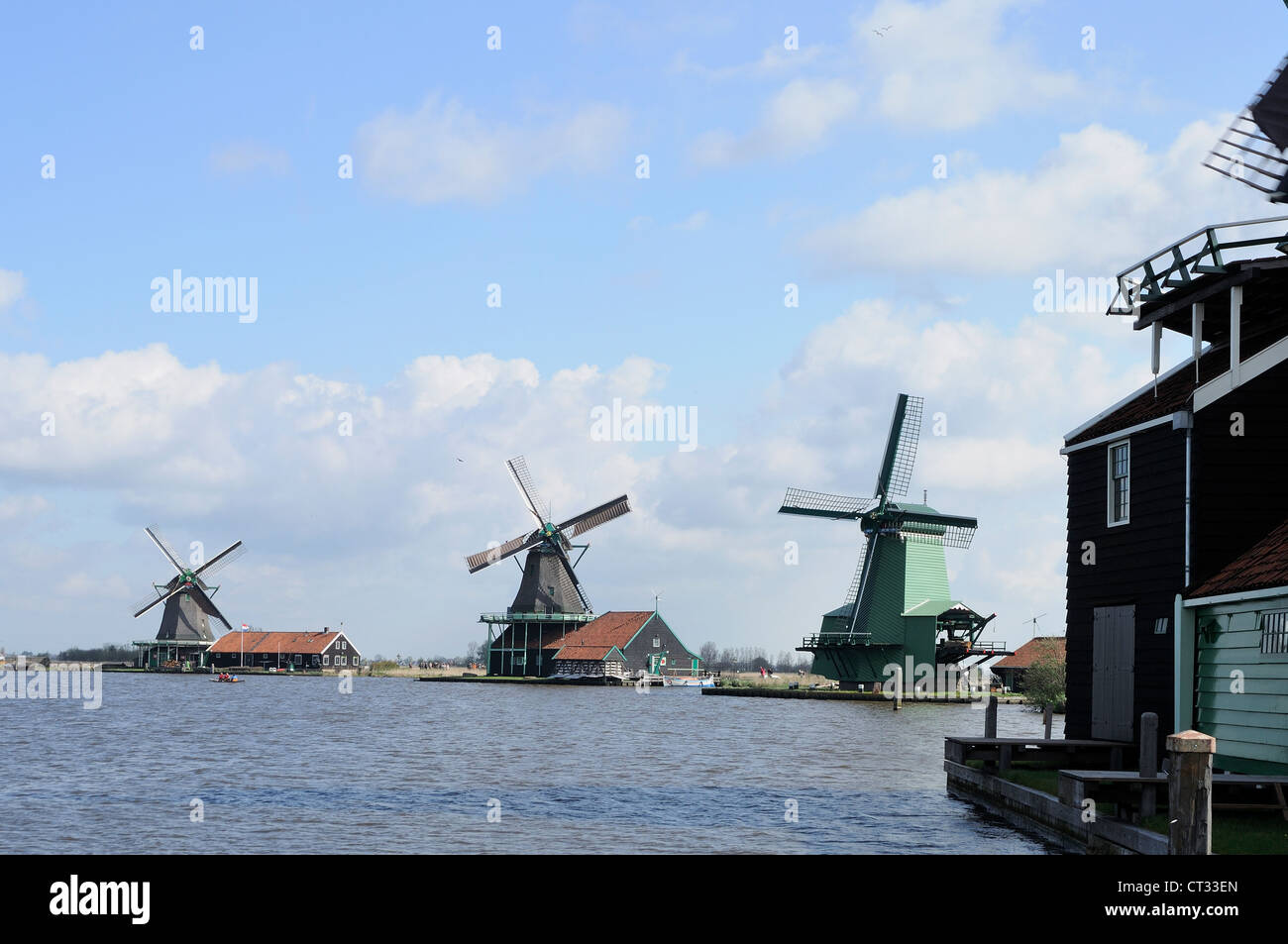 Mulini a vento di Zaanse Schans vista di mulini a vento tradizionali a località turistica, girato in condizioni di intensa luce a molla Foto Stock